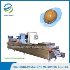 Factory and facilities of Shandong Pengzheng Machinery Co., Ltd