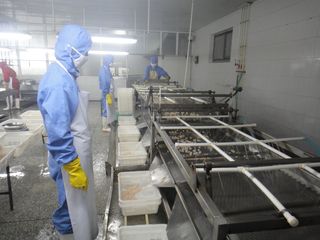 Factory facility photo 5
