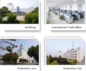 Factory and facilities of Topseller Chemicals Company Limited