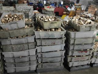 Factory facility photo 5