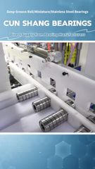 Factory and facilities of Zhongshan Cunshang Bearing Co., Itd
