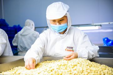 Factory facility photo 5