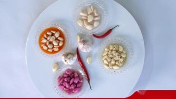 Factory and facilities of Shandong Yipin Weixiang Food Sci-Tech Co., Ltd.
