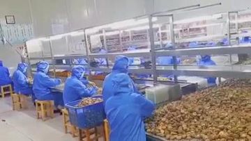 Factory and facilities of Ruiqiu Foods Co., Ltd.