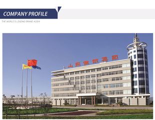 Factory and facilities of SHANDONG AOSHI GARMENTS CO., LTD.