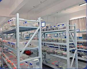 Factory and facilities of Jiangsu Tuohang Microelectronics Technology Co., Ltd