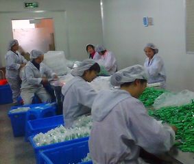 Factory facility photo 3