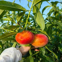 Factory and facilities of Sichuan Tiga Agriculture Co., Ltd.