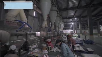 Factory and facilities of Hebei Nana Trading Co., Ltd.