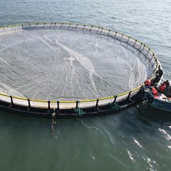Factory and facilities of Qingdao Qihang Fishing Cage Co., Ltd.