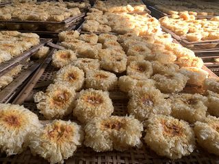 Factory and facilities of Fuzhou Xiao'er International Food Co., Ltd.
