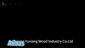 Factory and facilities of Shandong Yuxiang Wood Industry Co., Ltd.