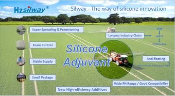 Factory and facilities of Hangzhou Silway New Material Technology Co., Ltd.