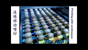 Factory and facilities of Guangzhou EC-PACK Packaging Equipment Co., Ltd.