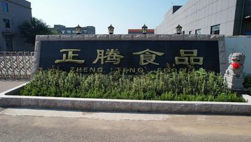Factory and facilities of SHANDONG ZHENGTENG FOOD CO.,LTD