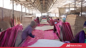 Factory and facilities of Liaocheng Chiping District Haoxin Wood Industry Co., ...