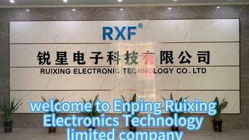 Factory and facilities of Enping City Ruixing Electronics Technology Co., Ltd.