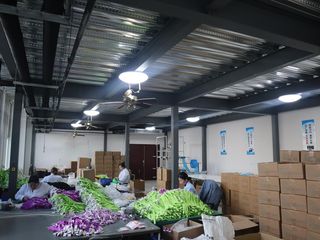 Factory facility photo 3