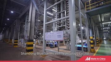 Factory and facilities of Shandong Blue Sail Health Technology Co., Ltd