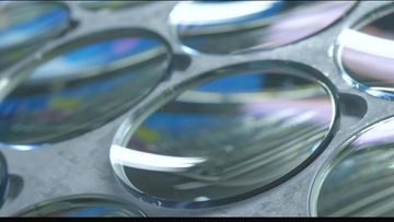 Factory and facilities of Weihai New Vision Optical Co., Ltd.