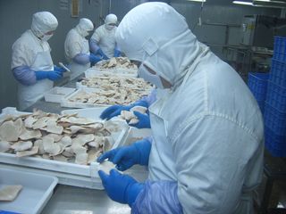 Factory and facilities of Yantai East Food Storage Co., Ltd.