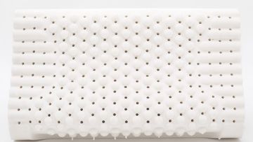 Factory and facilities of Wenzhou Jiasheng Latex Products Co., Ltd