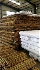 Factory and facilities of Guangzhou Baoyizi Bamboo Company LTd.