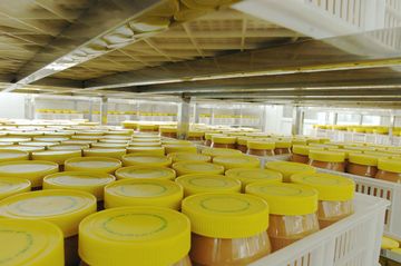 Factory facility photo 5
