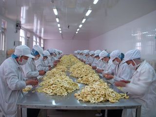 Factory and facilities of Handan Flower Foodstuff Co., Ltd.