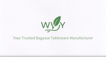 Factory and facilities of Huainan Wenyou Environmental Technology Co., Ltd.
