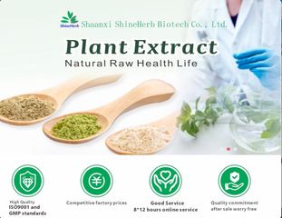 Factory and facilities of Shaanxi Shineherb Biotech Co., Ltd.