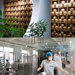 Factory facility photo 2
