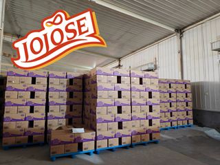 Factory facility photo 5