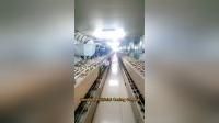 Factory and facilities of Qingdao Artificial Casing Co., Ltd.