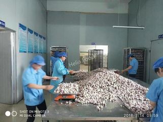 Factory facility photo 2