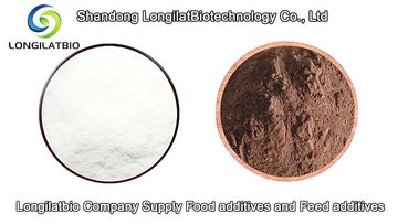 Factory and facilities of Shandong Hexon Technology Co., Ltd