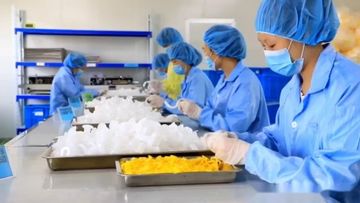 Factory and facilities of Ningbo Luke Medical Devices Co., Ltd.