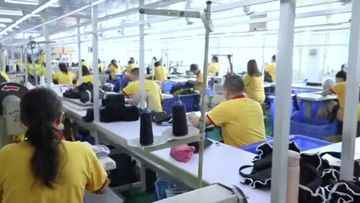 Factory and facilities of Fuzhou Whole Line Trading Co., Ltd.