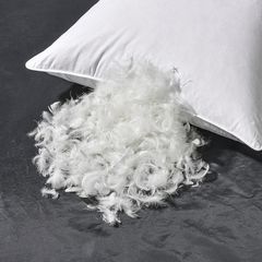 Factory and facilities of Anhui Wonder Down&amp;Feather Product Co., Ltd.