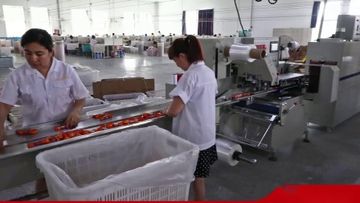 Factory and facilities of Weifang New Orient Colorful Ribbon Co., Ltd.