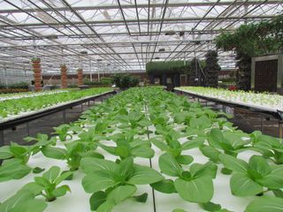 Factory and facilities of Xiamen Heseng Agricultural Technology Co.,Ltd
