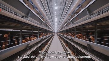 Factory and facilities of Henan Xinyongyuan Breeding Equipment Co., Ltd.