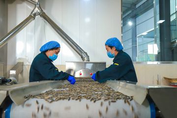 Factory facility photo 5