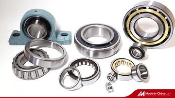 Factory and facilities of Bofa Import and Export Co., Ltd.