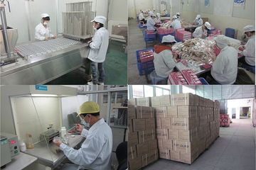 Factory facility photo 5