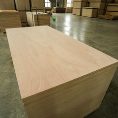 Factory and facilities of Linyi Longterm Wood Industry Co., Ltd.