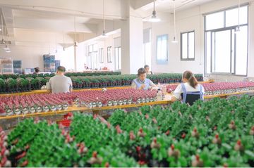 Factory facility photo 4
