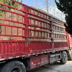 Factory and facilities of Nantong Sketch Textile Co., Ltd.