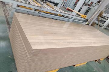 Factory and facilities of Shandong Hunglin Wood Industry Co., Ltd.