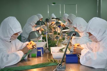 Factory facility photo 3